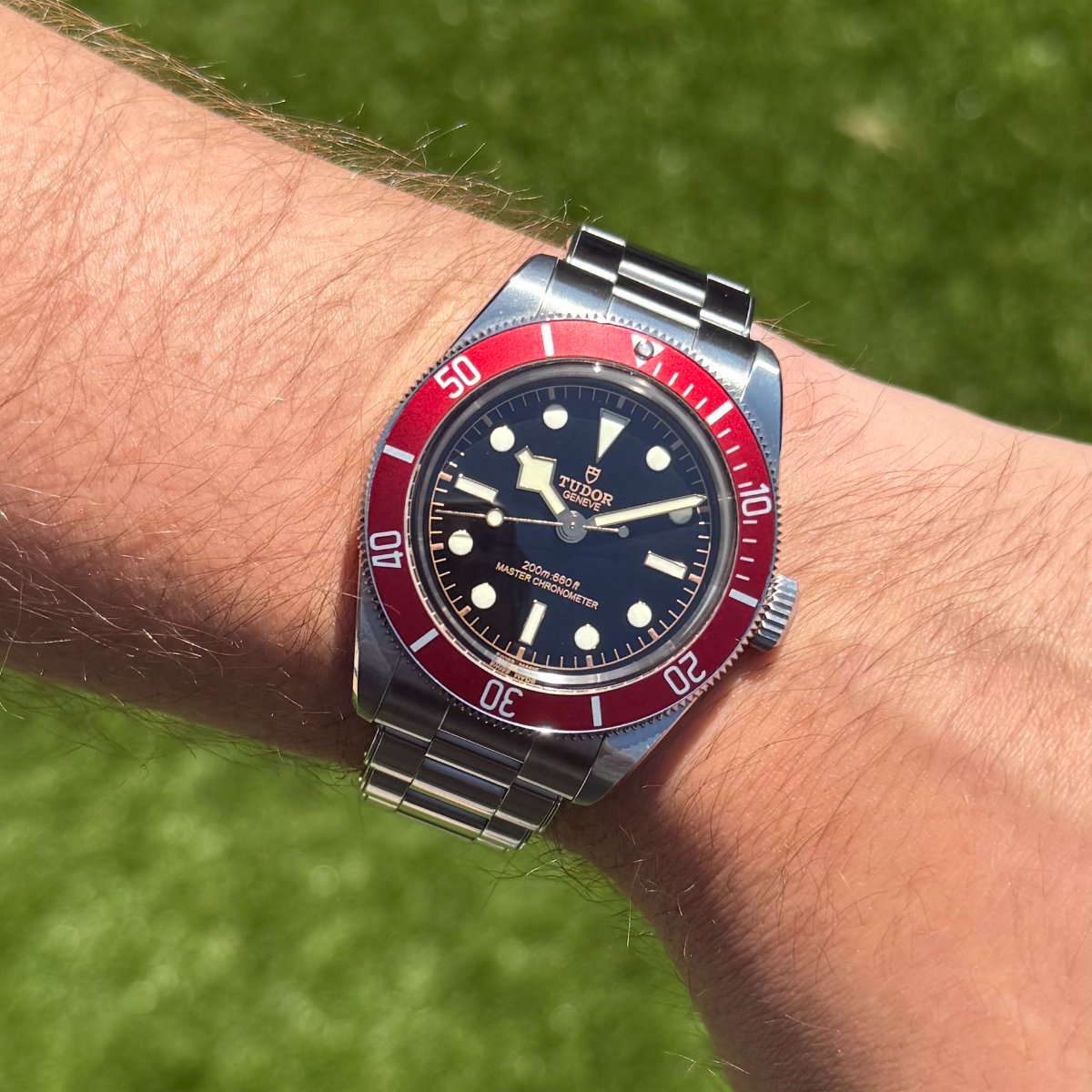 Tudor Black Bay Red